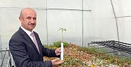 AVRUPA'DA KİLOSU BİN TL OLAN TRÜF MANTARI DENİZLİ'DE SUNİ ORTAMDA ÜRETİLECEK