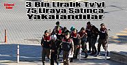 ÇALDIKLARI 3 BİN LİRALIK TELEVİZYONU BAYİYE 75 LİRAYA SATINCA YAKALANDILAR