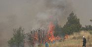Denizli’deki orman yangınında 100 hektarlık alan zarar gördü