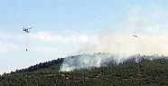 Denizli’deki orman yangınında yaklaşık 10 hektarlık alan yandı