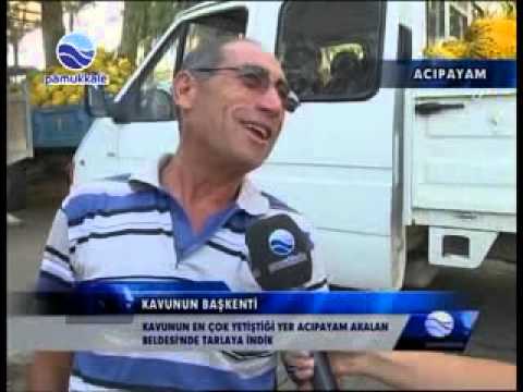 KAVUNUN EN ÇOK YETİŞTİĞİ YER ACIPAYAM AKALAN BELDESİ'NDE TARLAYA İNDİK