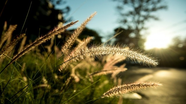 İklim Bilimi Uzmanı Ustaoğlu, cemre düşmesi hakkında bilgi verdi