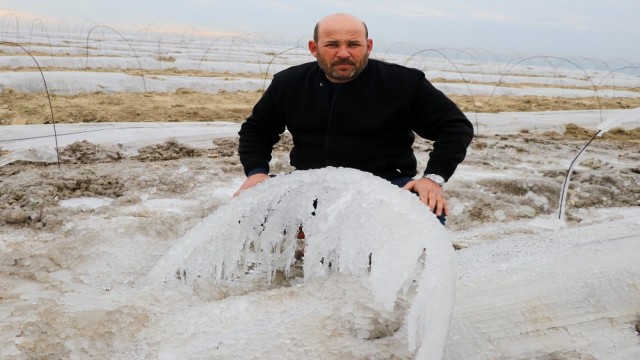 Karpuz tarlalarını buz kesti