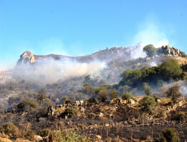 Bodrum’da 3 saat süren yangında 10 hektarlık alan kül oldu
