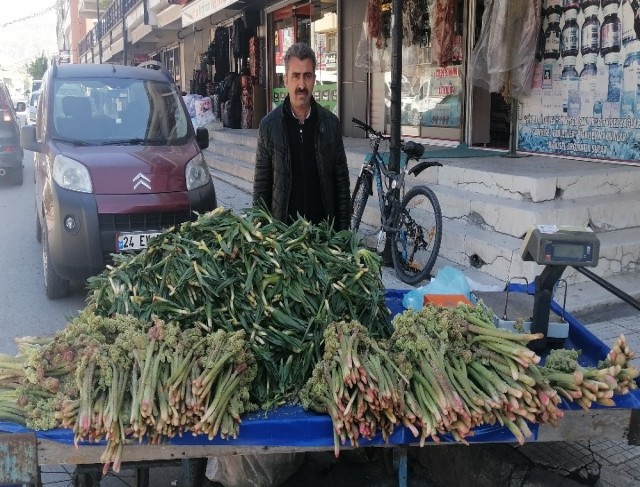 Kanser savar olarak bilinen ‘Işkın’ tezgâhlarda yerini aldı