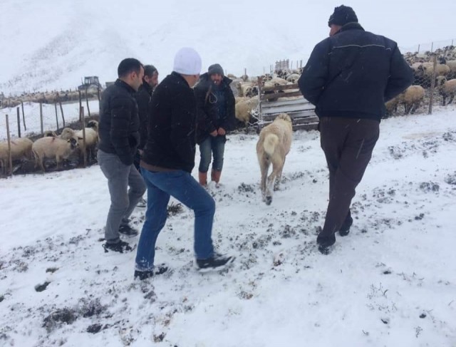 Yaylada mahsur kalan 8 kişi kurtarıldı