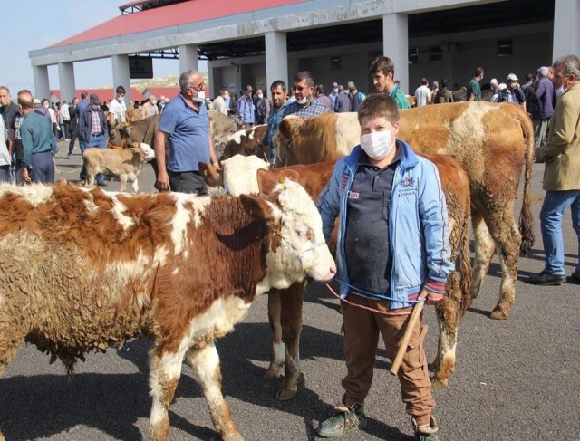 Kurban tedbirleri açıklandı