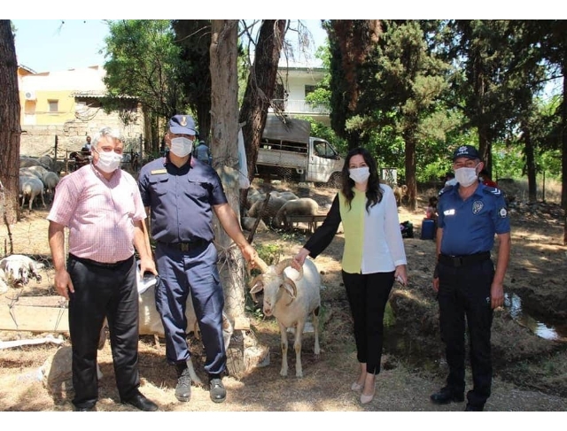 Denizli’nin Çal ilçesinde kurban satış yerleri denetlendi