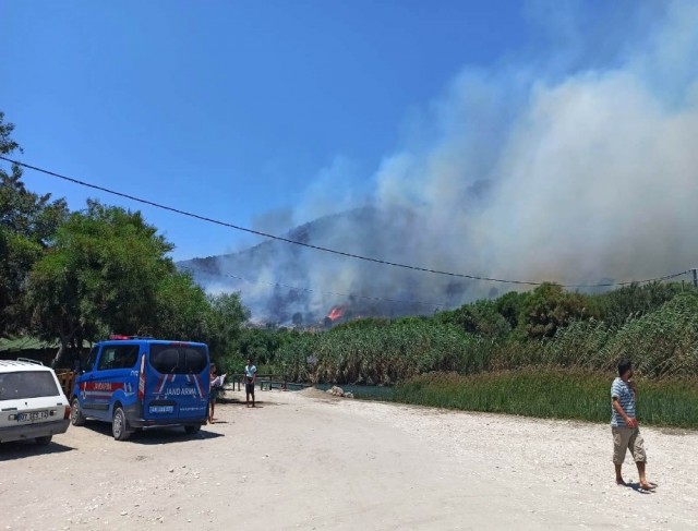 Seydikemer’de ormanlık alanda yangın çıktı