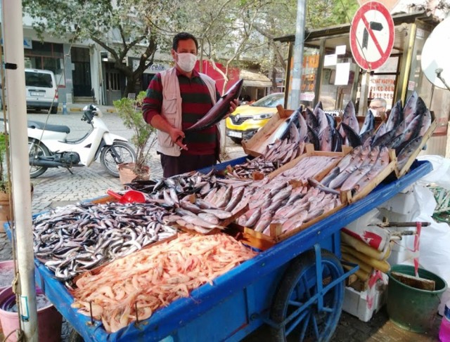 Havaların soğumasıyla balık fiyatlarında düşüş bekleniyor