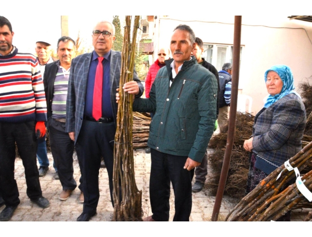 Çameli’nde ceviz üretimini artırmak için fidan desteği verilecek