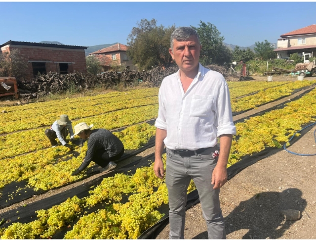 Üzümde fiyat belirsizliği hem üreticiyi hem de çalışanları tedirgin ediyor