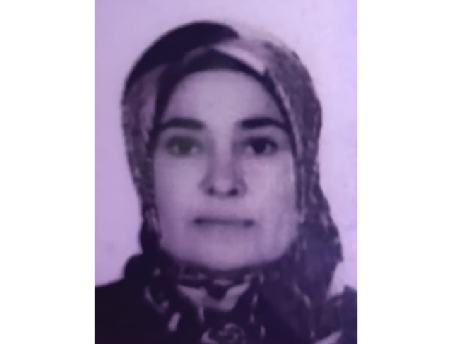 Denizli'de ağaçtan düşen talihsiz kadın yaşamını yitirdi