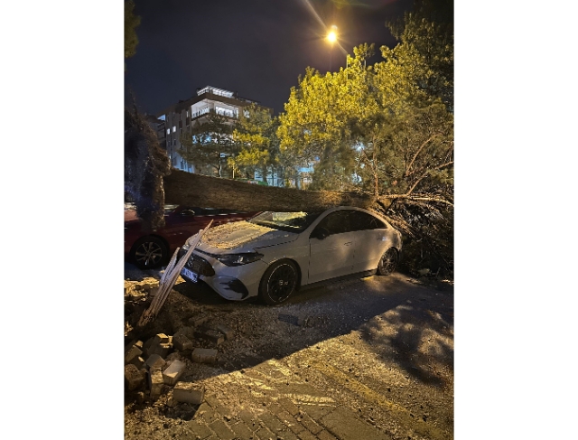 Denizli’de fırtına ağaçları devirdi, çatıları uçurdu