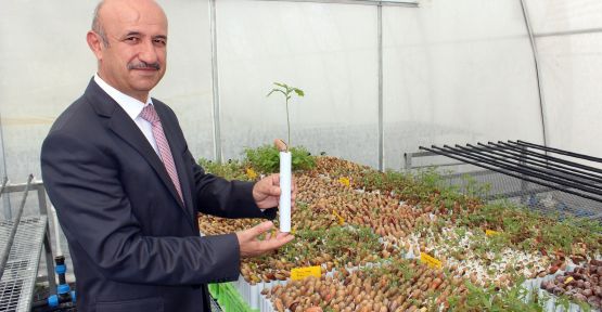 AVRUPA'DA KİLOSU BİN TL OLAN TRÜF MANTARI DENİZLİ'DE SUNİ ORTAMDA ÜRETİLECEK