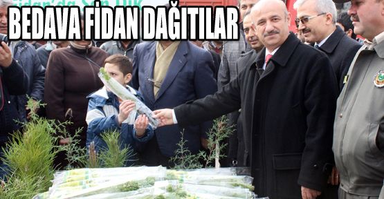 DENİZLİ’DE BEDAVA FİDAN İZDİHAMI