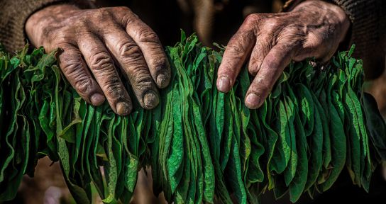 Fotoğraf Yarışması başvuru süresi uzatıldı