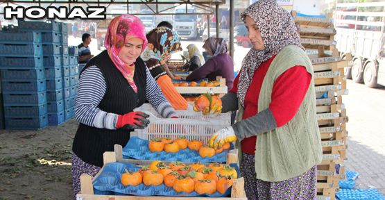 HONAZ CENNET ELMASI İLE GÜLDÜ