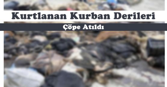 KURBAN DERİLERİ ÇÖPE GİTTİ