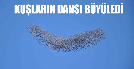 KUŞLARIN GÖKYÜZÜNDEKİ DANSI BÜYÜLEDİ