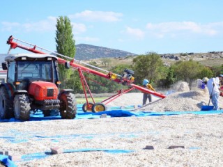 150 milyon TL’lik gelir bekleniyor