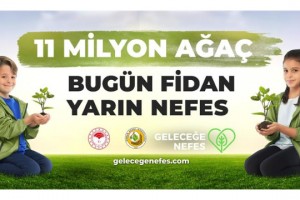 İŞTE ACIPAYAM'DA FİDAN DİKİLECEK YERLER