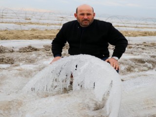 Karpuz tarlalarını buz kesti