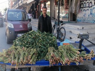 Kanser savar olarak bilinen ‘Işkın’ tezgâhlarda yerini aldı