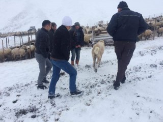 Yaylada mahsur kalan 8 kişi kurtarıldı