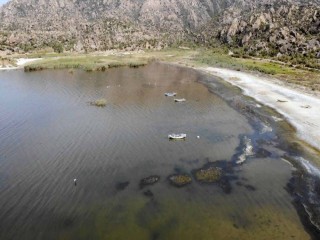 Bafa Gölü’ndeki balık ölümleri araştırılıyor