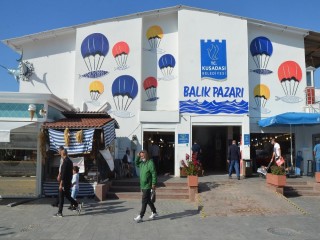 Kuşadası’nda balık bereketi yaşanıyor