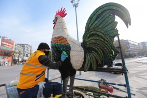 Cam horozda bakım ve temizlik zamanı