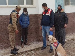 Kayıp çocuğu 6 saat sonra iz takip köpeği buldu