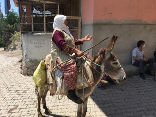 Köylü kadından aşı ekiplerine eşek sırtında moral şiiri: Eşeğinin üstündeyken aşısı vuruldu