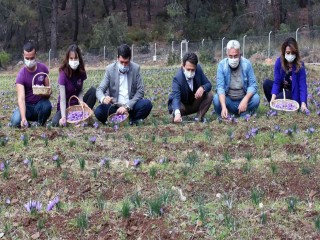 Endemik türlerden Muğla ekonomisine 62 milyon TL katkı