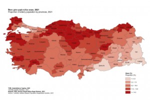 Denizli’de 2021 yılı yaşlı nüfus oranı 123 bin 137 kişi olarak açıklandı