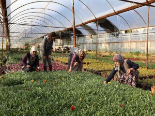 Muğla’da kadınlar üreterek güçleniyor