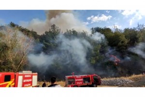 Denizli’de yerleşim yerine yakın noktada orman yangını başladı