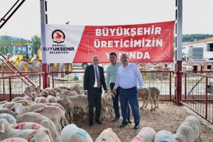 Büyükşehir’in hayvancılık destekleri çığ gibi büyüyor