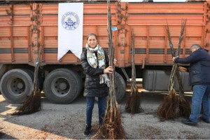 Cevizin başkenti artık Denizli
