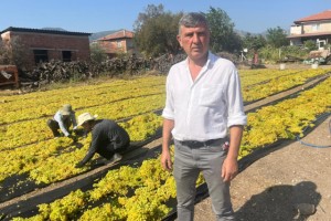 Üzümde fiyat belirsizliği hem üreticiyi hem de çalışanları tedirgin ediyor