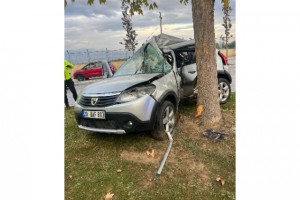 Ağaca çarpıp ikiye bölünen otomobildeki kadın hayatını kaybetti