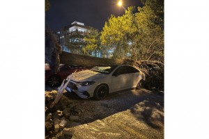 Denizli’de fırtına ağaçları devirdi, çatıları uçurdu