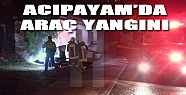 ACIPAYAM'DA ARAÇ YANGINI