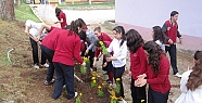 ANADOLU ÖĞRETMEN LİSESİ ÇİÇEK AÇTI