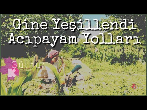 Gine Yeşillendi Acıpayam Yolları • Gülnur Kaya